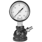 Gauge Pressure Gauges